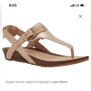 Teva Mahonia Sandal